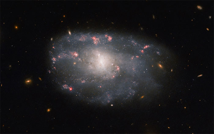 Hình ảnh thiên hà NGC 5486 qua kính Hubble