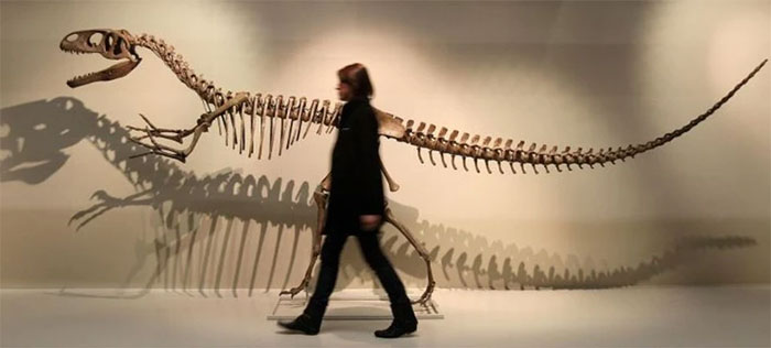 Kỷ niệm 200 năm phát hiện loài khủng long đầu tiên Megalosaurus